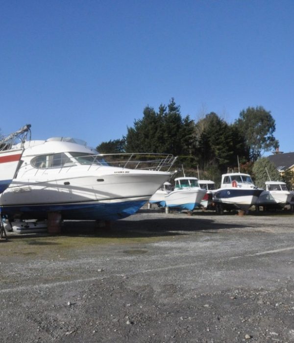 mini-DSC_0015-1024x680